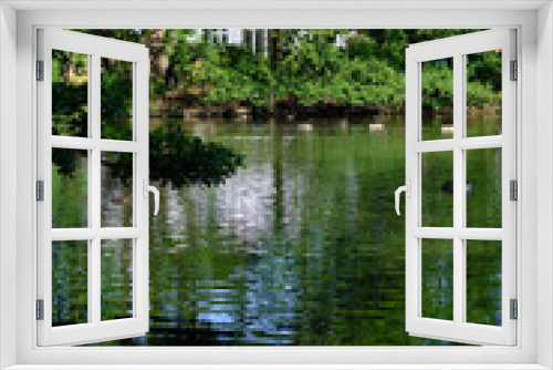 Fototapeta Naklejka Na Ścianę Okno 3D - Greenhill Gardens, a public park in New Barnet, London, UK. It is an ornamental lake with a grassed area with scattered mature trees. It is a Site of Local Importance for Nature Conservation.