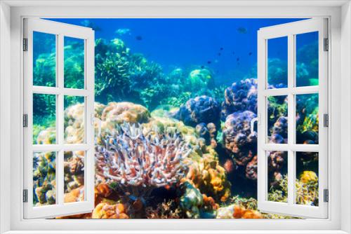 Fototapeta Naklejka Na Ścianę Okno 3D - Underwater coral reef tropical landscape
