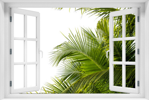 Fototapeta Naklejka Na Ścianę Okno 3D - coconut palm leaf isolated on white with clipping path for object and retouch design.