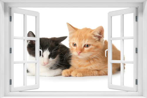 Fototapeta Naklejka Na Ścianę Okno 3D - Cute funny kittens on white background