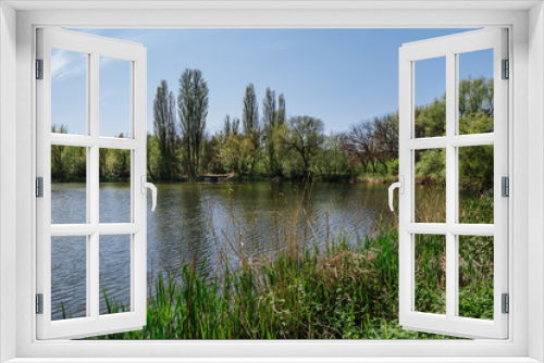 Fototapeta Naklejka Na Ścianę Okno 3D - Beautiful river coast in summer. Colorful landscape with a lake, green trees and grass, blue sky. Nature. Beautiful summer landscape