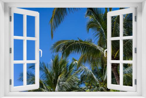 Fototapeta Naklejka Na Ścianę Okno 3D - palm trees on blue sky background  excellent for tourist, tropical advertisers. Coconut palm leaves on a sunny day at the beach with blue sky.