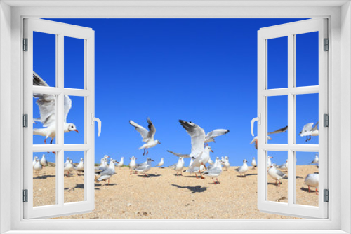 Fototapeta Naklejka Na Ścianę Okno 3D - flock of young seagulls