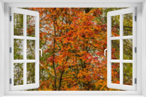 Fototapeta Naklejka Na Ścianę Okno 3D - Autumn  colors