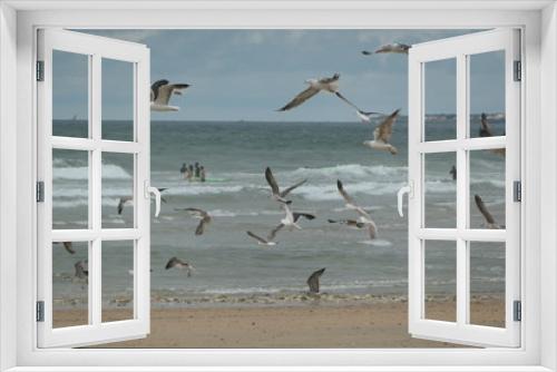 Fototapeta Naklejka Na Ścianę Okno 3D - mouettes et goélands à l'océan