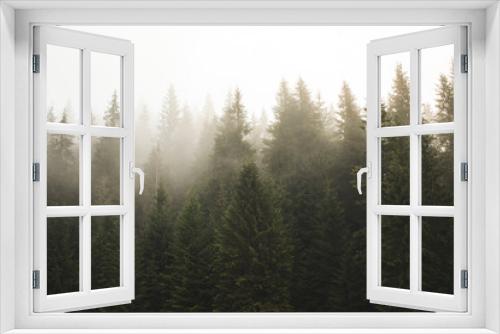 Fototapeta Naklejka Na Ścianę Okno 3D - fog in the woods, Haze in fir forest