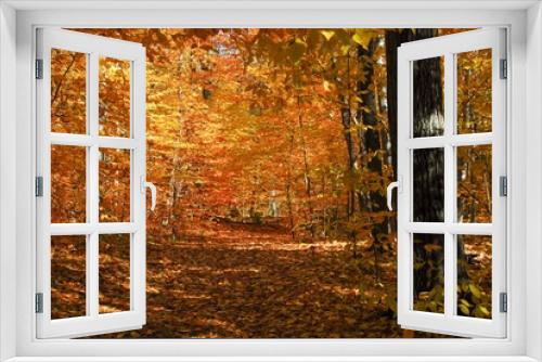Fototapeta Naklejka Na Ścianę Okno 3D - Autumn views