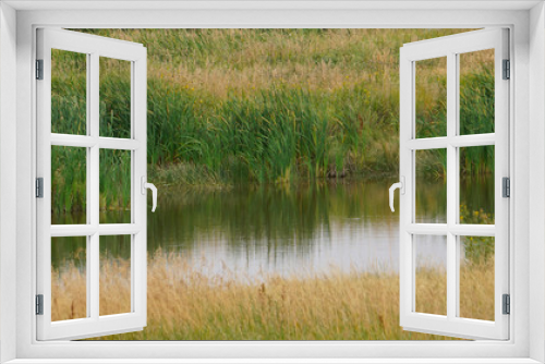 Fototapeta Naklejka Na Ścianę Okno 3D - Wetlands