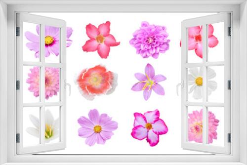 Fototapeta Naklejka Na Ścianę Okno 3D - Collection of different colorful flower (poppies, Dahlia, Cosmos, Crocus, Adenium) Isolated on white background with clipping path