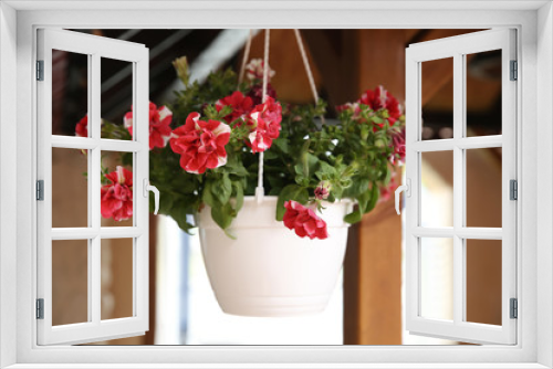 Fototapeta Naklejka Na Ścianę Okno 3D - Beautiful flowers in hanging plant pot near building outdoors