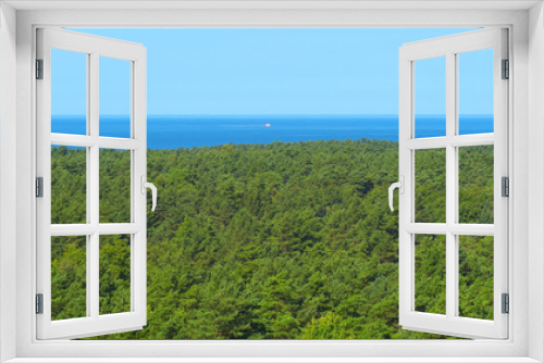 Fototapeta Naklejka Na Ścianę Okno 3D - Panoramic view of the pine forest next to the sea.