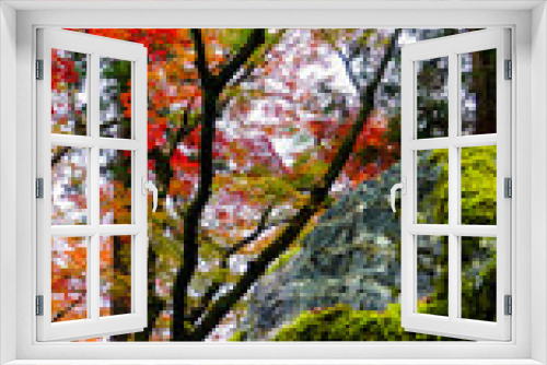Fototapeta Naklejka Na Ścianę Okno 3D - 苔むす岩と紅葉