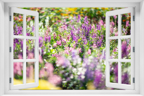 Fototapeta Naklejka Na Ścianę Okno 3D - 花の庭