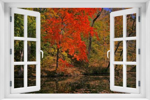 Fototapeta Naklejka Na Ścianę Okno 3D - Autumn Fall Colors Water Trees