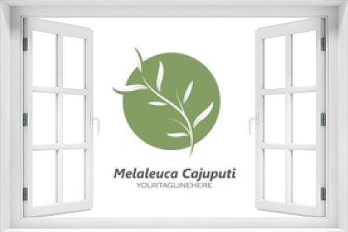 Fototapeta Naklejka Na Ścianę Okno 3D - melaleuca cajuputi leaf icon vector illustration design