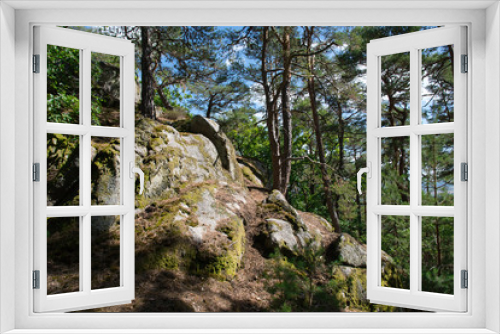 Fototapeta Naklejka Na Ścianę Okno 3D - Felsenpfad bei Dieffenthal im Elsass