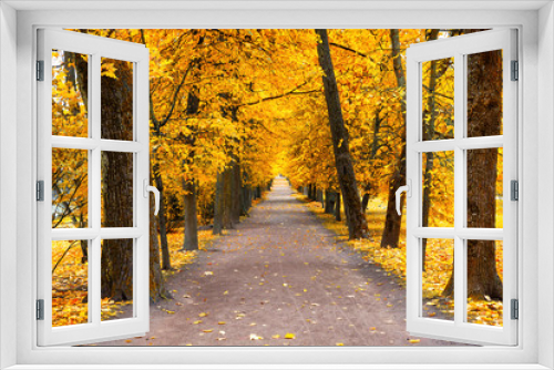 Fototapeta Naklejka Na Ścianę Okno 3D - Autumn landscape, beautiful city park with fallen yellow leaves.