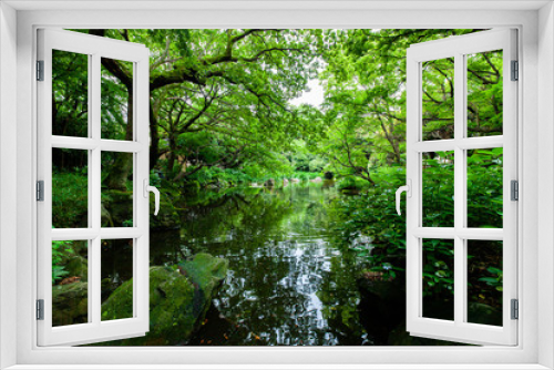 Fototapeta Naklejka Na Ścianę Okno 3D - 都内の川がある緑が綺麗な公園