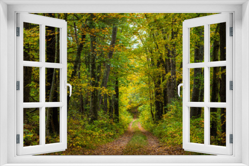 Fototapeta Naklejka Na Ścianę Okno 3D - Autumn in New England by Constantine