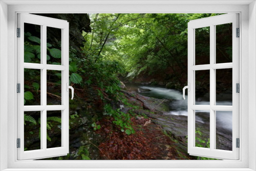 Fototapeta Naklejka Na Ścianę Okno 3D - 初夏の緑の森の中の渓流　-日本、長野県、杜鵑峡