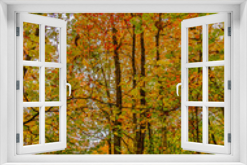Fototapeta Naklejka Na Ścianę Okno 3D - Bright multi-colored canopy in an autumn forest