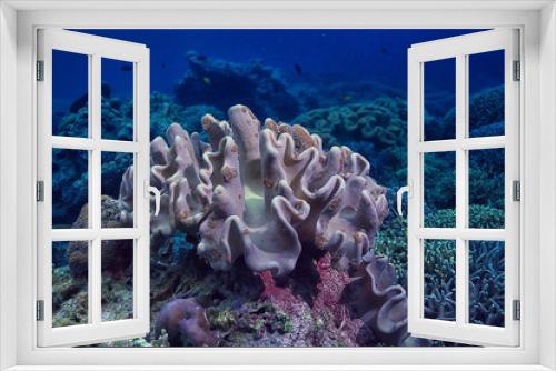Fototapeta Naklejka Na Ścianę Okno 3D - underwater sponge marine life / coral reef underwater scene abstract ocean landscape with sponge
