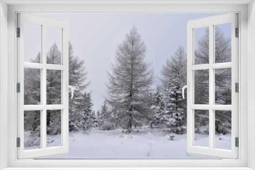Fototapeta Naklejka Na Ścianę Okno 3D - snow covered forest.