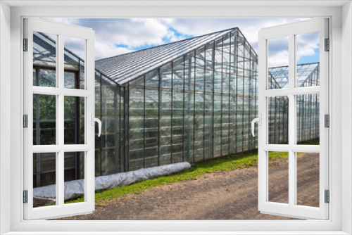 Fototapeta Naklejka Na Ścianę Okno 3D - Exterior of geothermal heated greenhouses for growing tomatoes in Iceland on a cloudy summer day