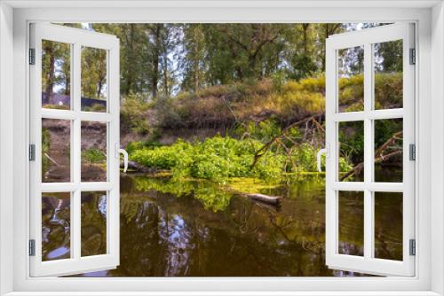 Fototapeta Naklejka Na Ścianę Okno 3D - pond in the forest