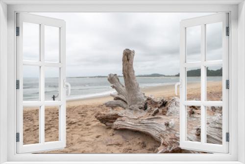 Fototapeta Naklejka Na Ścianę Okno 3D - Dead wood on a beach at the ocean