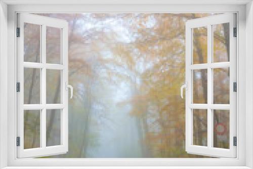 Fototapeta Naklejka Na Ścianę Okno 3D - mystery foggy autumn beech forest