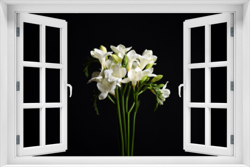 Fototapeta Naklejka Na Ścianę Okno 3D - Beautiful white freesia flowers on black background