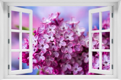Fototapeta Naklejka Na Ścianę Okno 3D - blooming lilac flowers. Macro photo