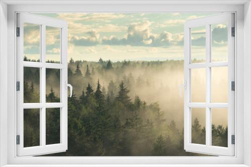 Fototapeta Naklejka Na Ścianę Okno 3D - Spruce fir forest in the fog