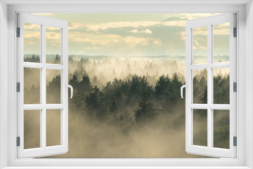 Fototapeta Naklejka Na Ścianę Okno 3D - View of the mystical coniferous spruce forest in the fog