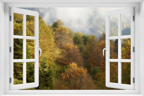 Fototapeta Naklejka Na Ścianę Okno 3D - Forest in autumn and clouds