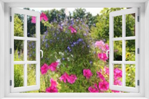 Fototapeta Naklejka Na Ścianę Okno 3D - Blumenampel mit pinken Petunien im Garten hängt am Baum