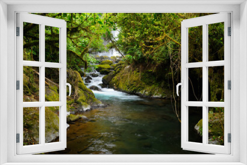Fototapeta Naklejka Na Ścianę Okno 3D - Thick tropical rainforest jungle and stream with waterfall at Poas volcano Costa Rica