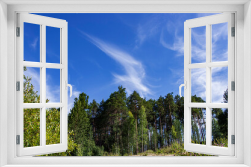 Fototapeta Naklejka Na Ścianę Okno 3D - The blue sky is patterned with white clouds. Green trees in the forest