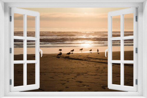 Fototapeta Naklejka Na Ścianę Okno 3D - Silhouette of Seagulls on Ocean Beach at Sunset Panorama