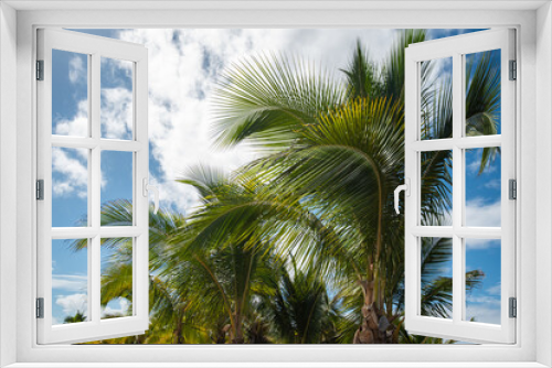 Fototapeta Naklejka Na Ścianę Okno 3D - palm tree on the ocean