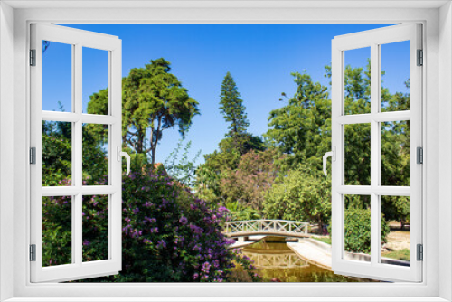 Fototapeta Naklejka Na Ścianę Okno 3D - 
Tropical botanical garden, Belem, Lisbon, Portugal