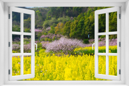 Fototapeta Naklejka Na Ścianę Okno 3D - Spring scenery of Hubei Daye Zhaoshan Forest Park