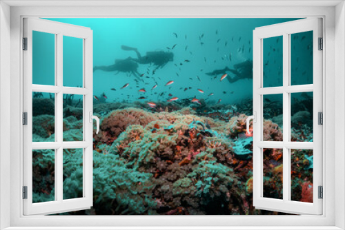 Fototapeta Naklejka Na Ścianę Okno 3D - Scuba divers swimming peacefully among colorful coral reef formations in crystal clear blue water