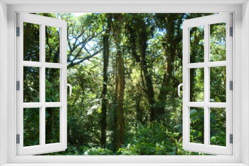 Fototapeta Naklejka Na Ścianę Okno 3D - rainforest mountains costa rica jungle