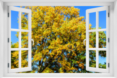 Fototapeta Naklejka Na Ścianę Okno 3D - Oak tree grows on a meadow. Autumn landscape
