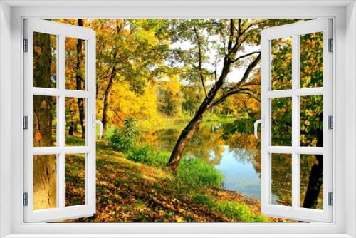 Fototapeta Naklejka Na Ścianę Okno 3D - park, przyroda, drzewa, rośkinność , natura, strumyk, panorama, las, drzewostan, 