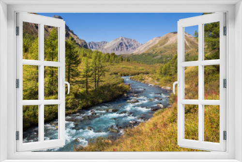 Fototapeta Naklejka Na Ścianę Okno 3D - A white water mountain river bends along the valley between the banks with yellowish grass and green trees. Grey mountains are in the background against the bright blue sky.