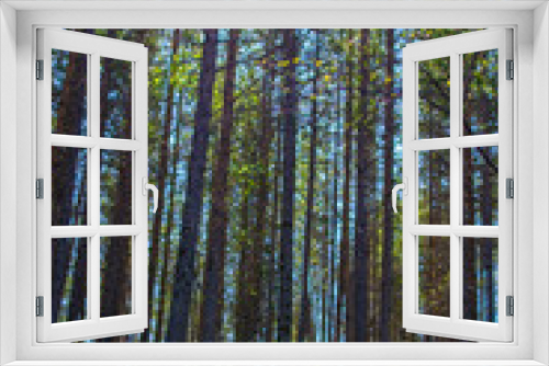 Fototapeta Naklejka Na Ścianę Okno 3D - forest in summer