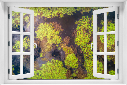 Fototapeta Naklejka Na Ścianę Okno 3D - From above